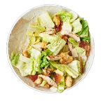 Chicken Caesar Salad 